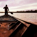 Explore the Pristine Wilderness of Tambopata