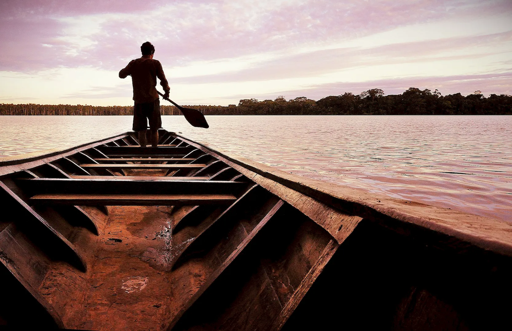 Explore the Pristine Wilderness of Tambopata - Image 3
