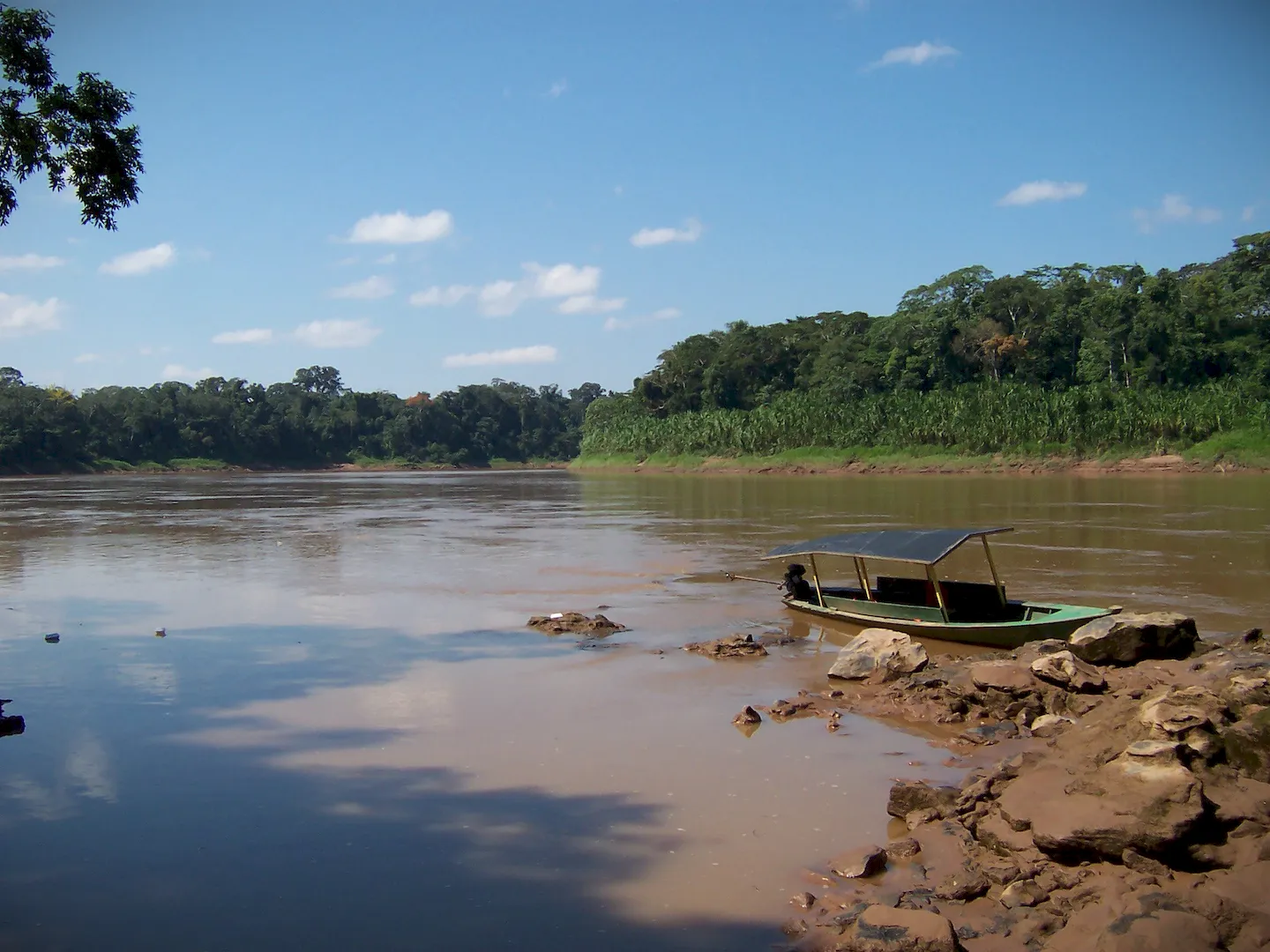 Explore the Pristine Wilderness of Tambopata - Image 4