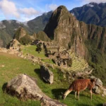 Majestic Peru Exclusive Retreat 6 Days