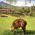 Majestic Peru Exclusive Retreat 6 Days