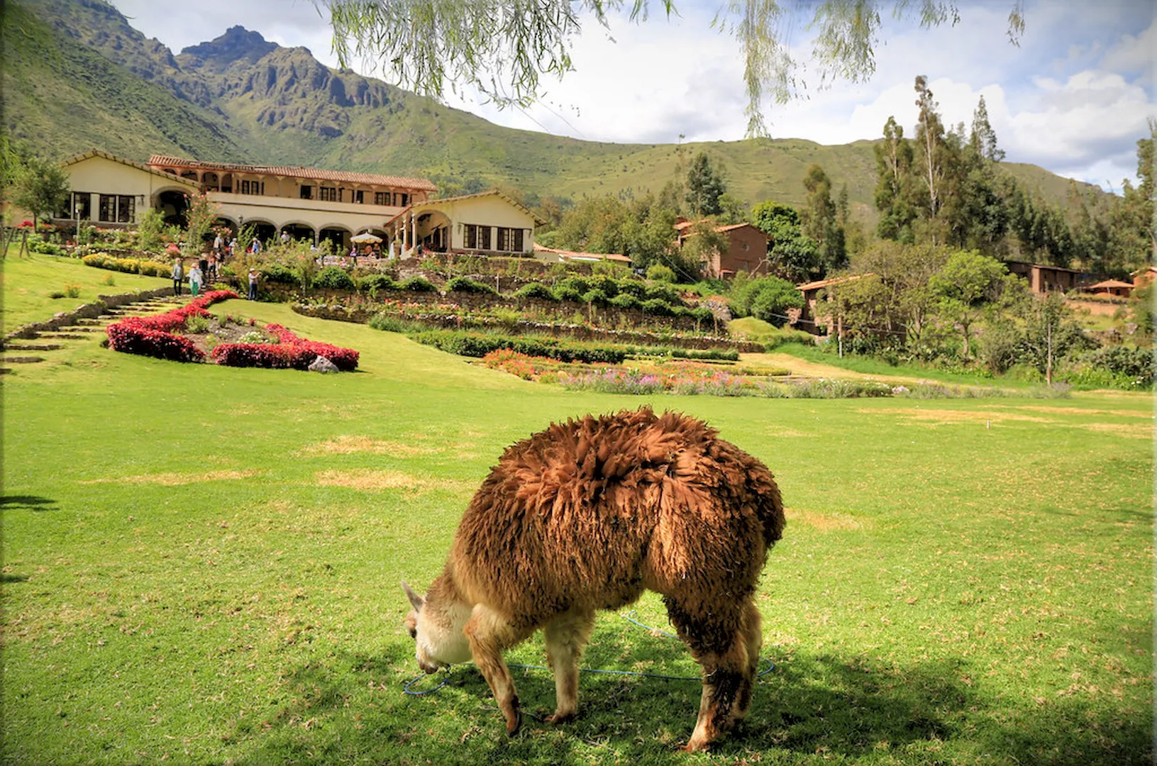 Majestic Peru Exclusive Retreat 6 Days - Image 12